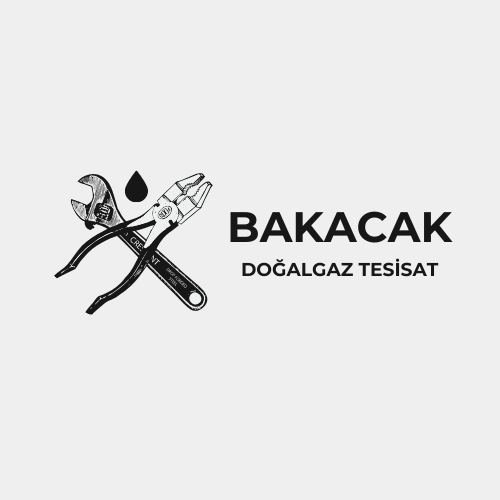 bakacakdogalgaztesisat.com