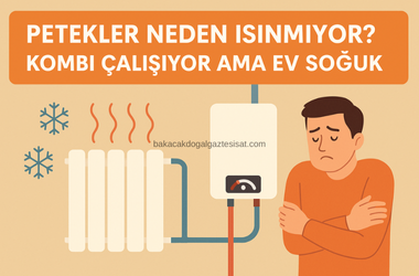 Ümraniye Petek Bakımı